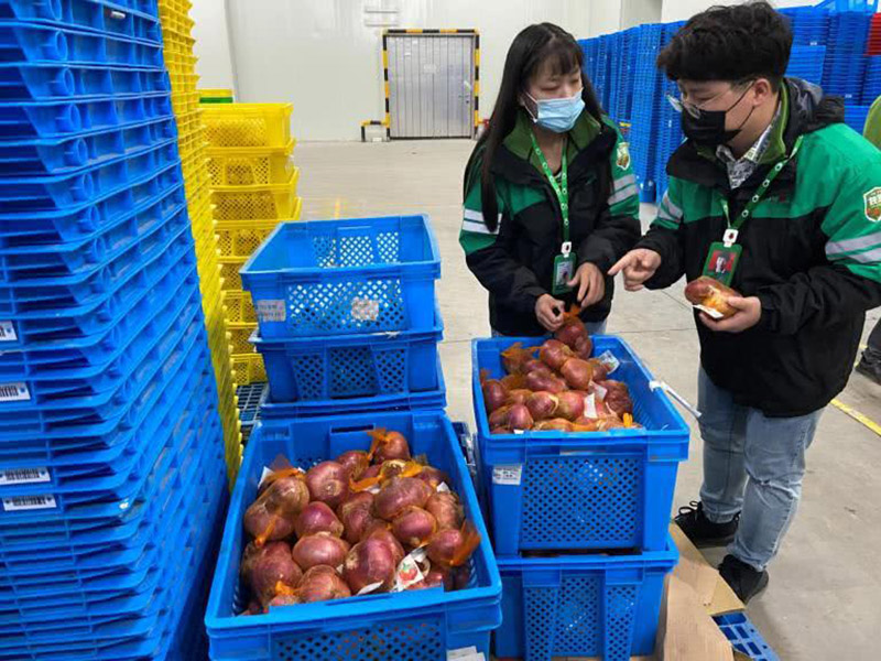 蔬菜生鮮使（shǐ）用塑（sù）料周轉筐
